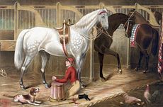 Digital Illustration of a Dog Watching a Jockey Kneeling and Praying for a Successful Race in a Horse Stable #p282OKTxqUg