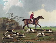 Digital Illustration of a Man Captain Ricketts on Horseback Fox Hunting with Dogs #9JWFjX0EnbA