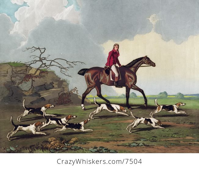 Digital Illustration of a Man Captain Ricketts on Horseback Fox Hunting with Dogs - #9JWFjX0EnbA-1