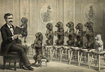 Digital Illustration of a Man Surrounded by Dogs Sitting up and Begging on Stools One Dog in His Hand As He Reads Them a Book #9c6Q9c5wObk