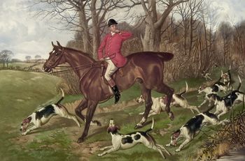 Digital Image of a Man Fox Hunting on Horseback Surrounded by Dogs #62kHJNy5KpM