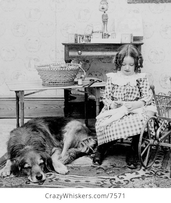 Digital Photo of a Dog Resting by Girl Sewing a Doll - #5rcx6fokhfg-1