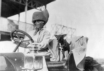 Digital Photo of a Woman Driving a Car with Her Dog #GWlP1LELYcc