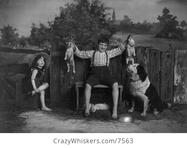 Digital Photo of Children with a Dog and Puppies - #GiJaZk9eCR8-1