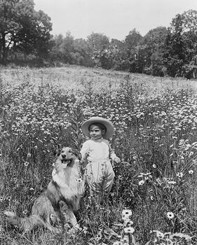 Historic Digital Photo of a Child and a Collie Dog in a Field #1VFTGdiJL18