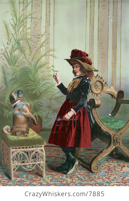 Vintage Digital Image of a Girl Holding up a Treat and Training Her Pug Dog - #zwxAOjspzJ8-1