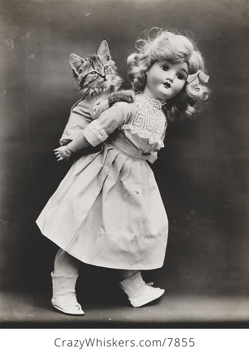 Vintage Digital Image of a Kitten Getting a Piggyback Ride from a Doll - #PBYx91p0K2Y-1