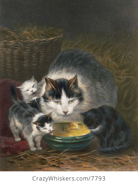 Vintage Digital Image of a Mother Cat and Kittens - #U4bSCoSH4fc-1