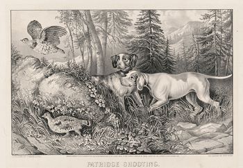 Vintage Digital Image of a Pair of Dogs Hunting Partridges C 1870 #9tzrFTdmXKY