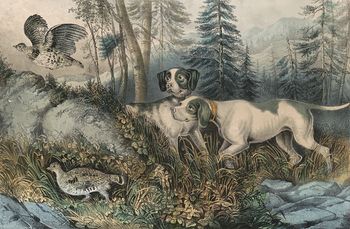 Vintage Digital Image of a Pair of Dogs Hunting Partridges C 1870 #FoVtLxjvhq8