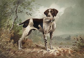 Vintage Digital Image of a Pointer Dog with Fowl C1879 #ugvkAhqv0r8