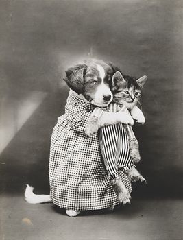 Vintage Digital Image of a Puppy Holding a Kitten #E73nAcUzEi0