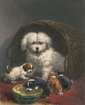 Vintage Digital Image of a Scotch Terrier Dog and Puppies #pvodmnEDAs8