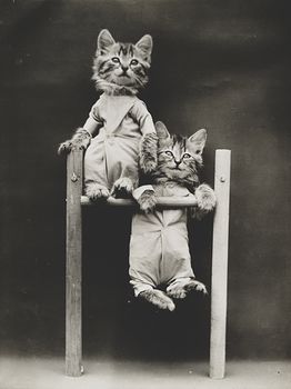 Vintage Digital Image of Kittens Playing on a Bar #kXrTQKbiWp4