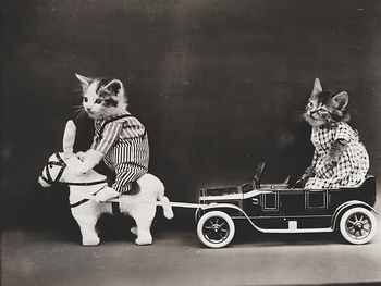 Vintage Digital Image of Kittens Posed Riding a Horse and Car #0yYZDp4evUY