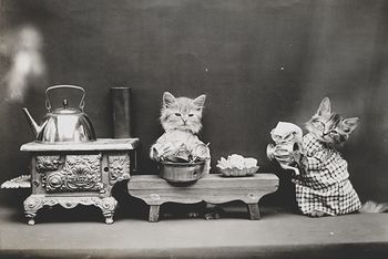 Vintage Digital Image of Kittens Washing Dishes #ToSEG6oixPE
