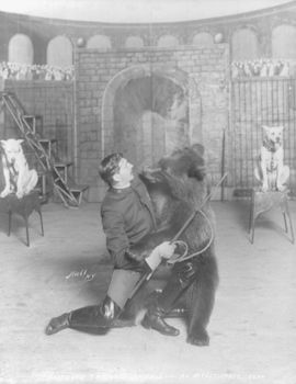 Vintage Digital Photo of a Trainer with a Bear and Dogs #rTcg9cpXoPY