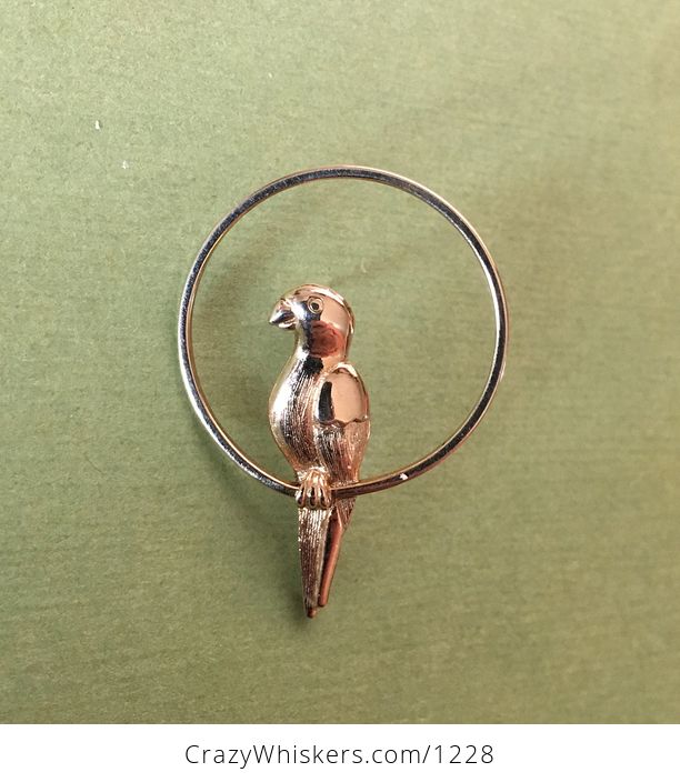 Vintage Gold Tone Avon Parrot Perched in a Ring Brooch Pin Price Includes Shipping - #011tKHqWnro-1