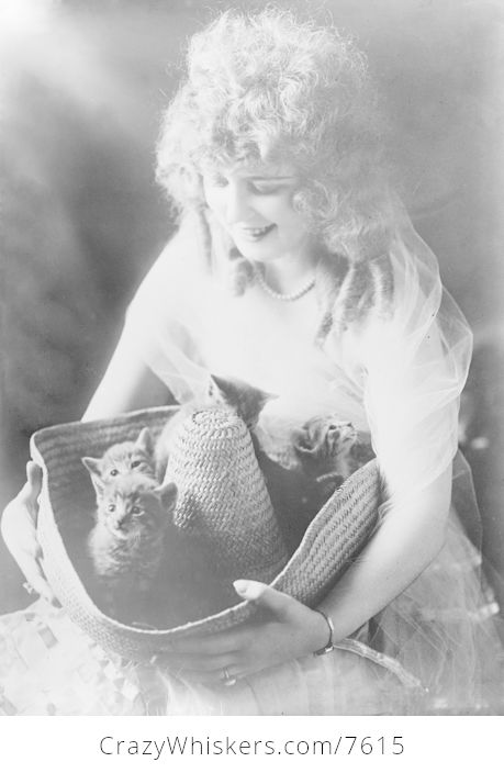 Alma Hanlon with Kittens - #uBRywNBo6WM-1