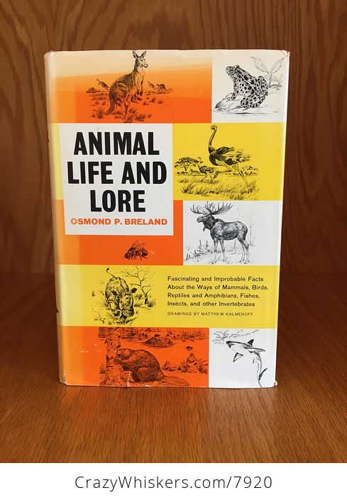 Animal Life and Lore Illustrated Book by Osmond P Breland 1963 - #NZxWh0pQkqY-1