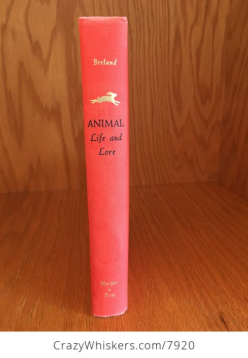 Animal Life and Lore Illustrated Book by Osmond P Breland 1963 - #NZxWh0pQkqY-8