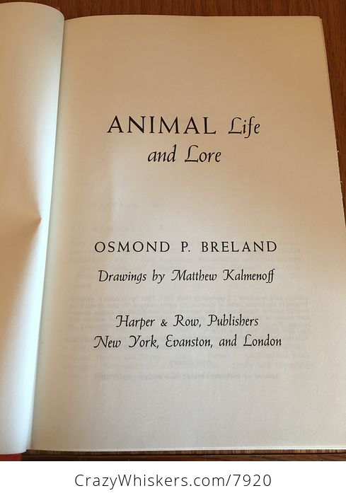 Animal Life and Lore Illustrated Book by Osmond P Breland 1963 - #NZxWh0pQkqY-3