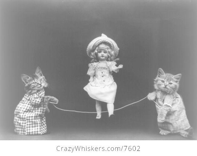 Cats Playing Jump Rope with Doll - #lgmBQJwWKks-1