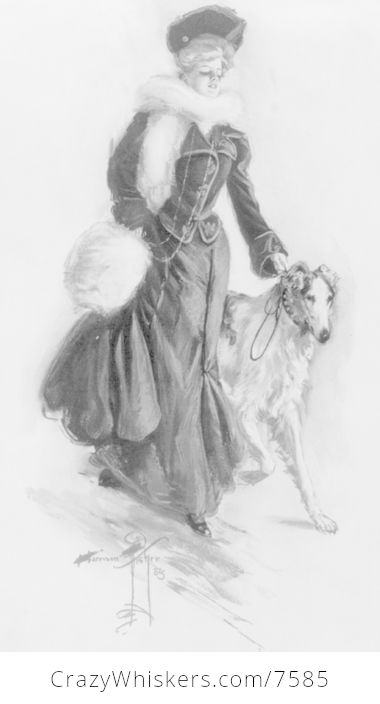 Digital Historical Image of a Woman Walking a Dog - #BDgjmYGvdBE-1