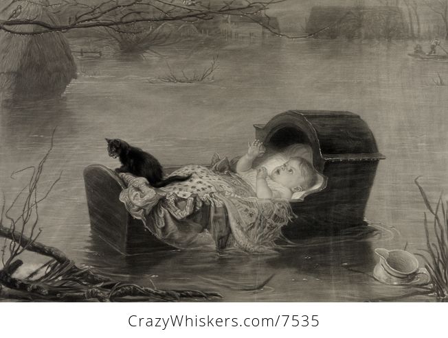 Digital Illustration of a Baby and Cat in a Cradle Floating on Water During a Flood - #6A1tHLnukmc-1