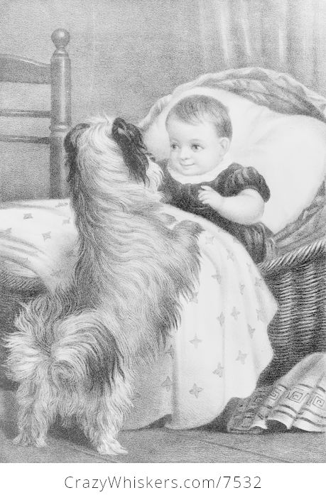 Digital Illustration of a Dog and Baby - #ZLZJ6F2aeqc-1