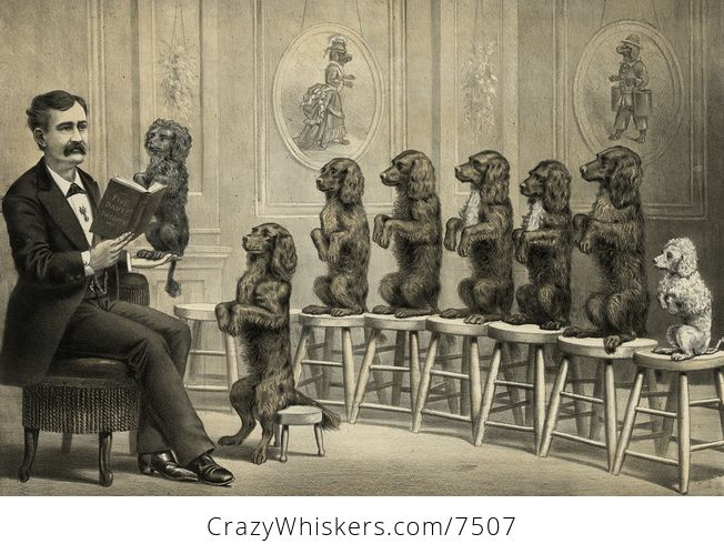 Digital Illustration of a Man Surrounded by Dogs Sitting up and Begging on Stools One Dog in His Hand As He Reads Them a Book - #9c6Q9c5wObk-1