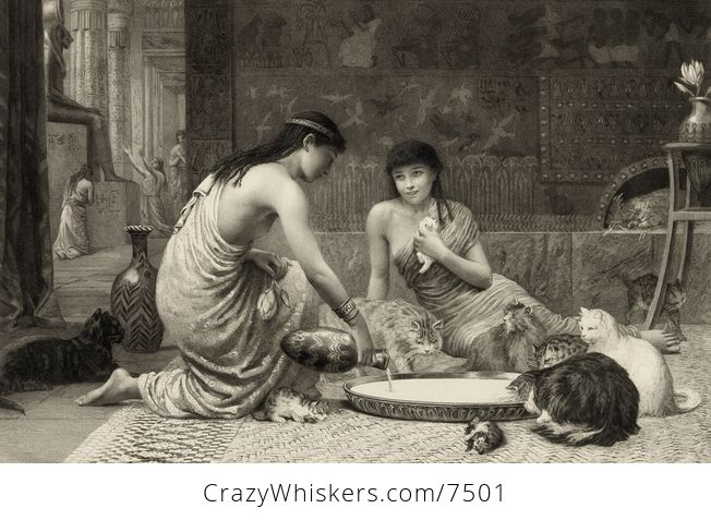 Digital Illustration of a Sepia Toned Scene of Two Young Women Feeding Kittens and Cats Around a Large Saucer - #K7Pk2qqqgtU-1