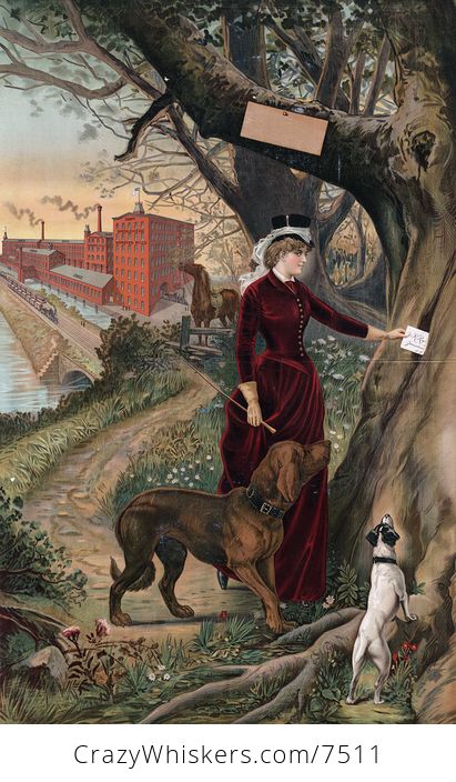 Digital Illustration of a Woman in Horseback Riding Clothes Putting a Note in a Tree Her Dogs Beside Her and Horse and Mill in the Background - #zsncvz8HhQQ-1