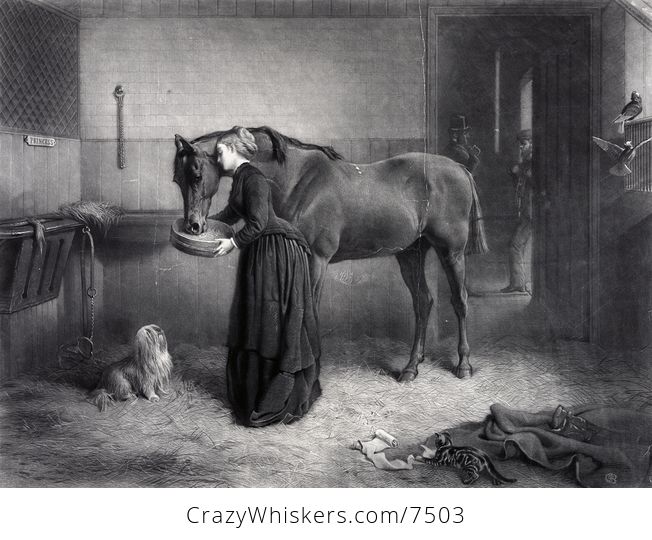 Digital Illustration of a Woman Reeding and Leaning Against a Horse While a Dog Watches and a Kitten Plays a Man Standing in the Background - #jmwWVrLEqkw-1