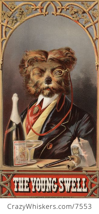Digital Image of a Dog with Champagne and Tobacco - #6cPHC0W7TAI-1