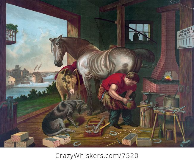 Digital Image of a Donkey and a Dog Watching a Farrier Applying Horseshoes to a Horse - #TitUA0hqWik-1