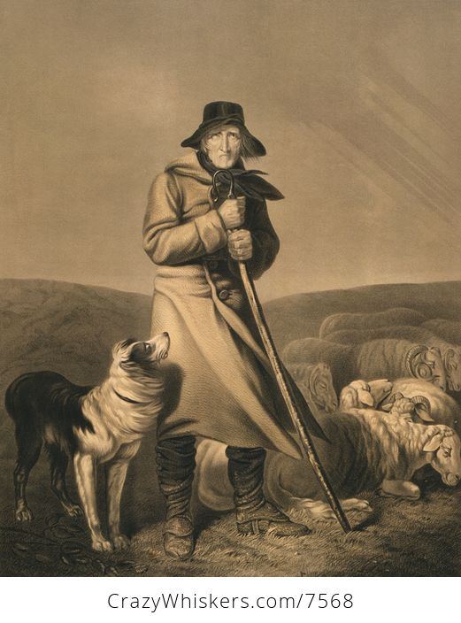 Digital Image of a Shepherd in the Wind with His Dog and Sheep - #EpudyPEzJCY-1