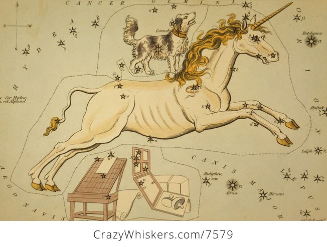 Digital Image of Unicorn and Dog Constellations - #KDCIXNlvhiI-1