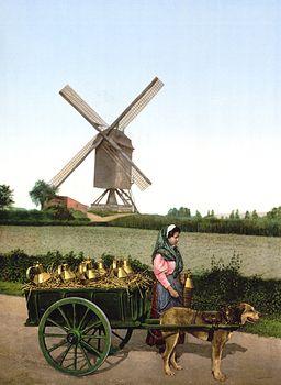 Digital Photo of a Female Milk Seller with Dog Drawn Cart Brussels Belgium #NcW1qf288OM