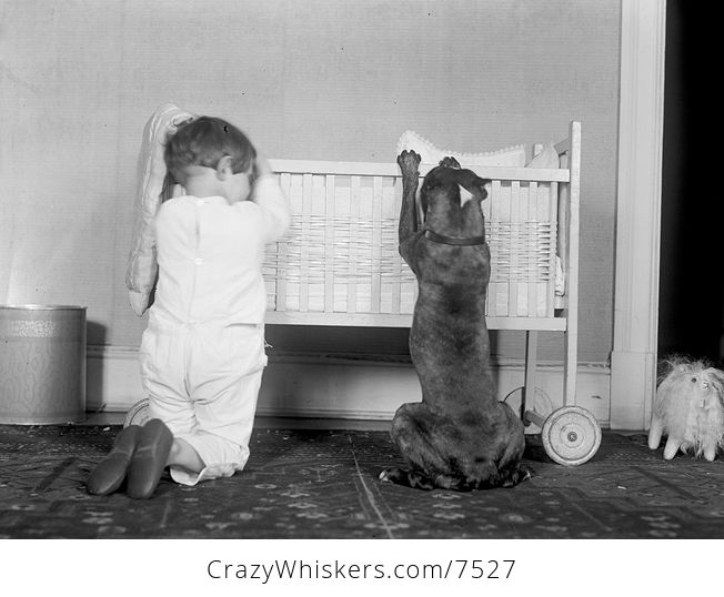 Digital Photo of a Little Boy Child and His Dog Kneeling by a Crib - #nDPKwXNJjwU-1