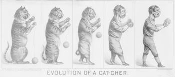 Evolution of a Cat Cher #vFn0fzNa5dc
