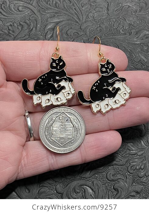 Halloween Black Cat on Skulls Book Witchy Earrings - #sz1wiyyyNXo-3