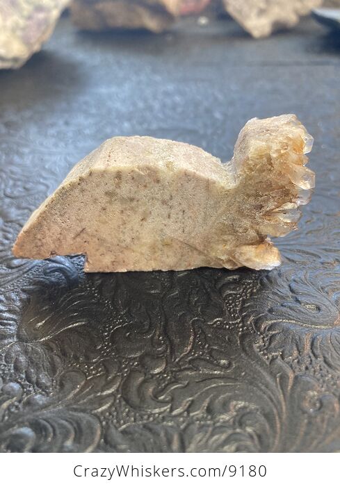 Hand Carved Stone Armadillo or Anteater Crystal Figurine - #juVeSDMSZRo-6