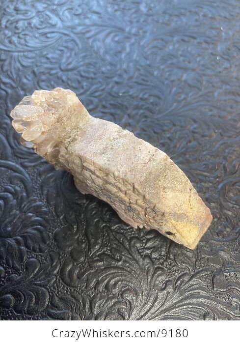 Hand Carved Stone Armadillo or Anteater Crystal Figurine - #juVeSDMSZRo-5