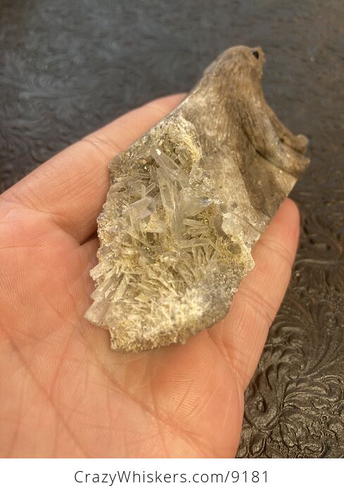 Hand Carved Stone Bear Crystal Figurine - #Kryr6z17JlY-5