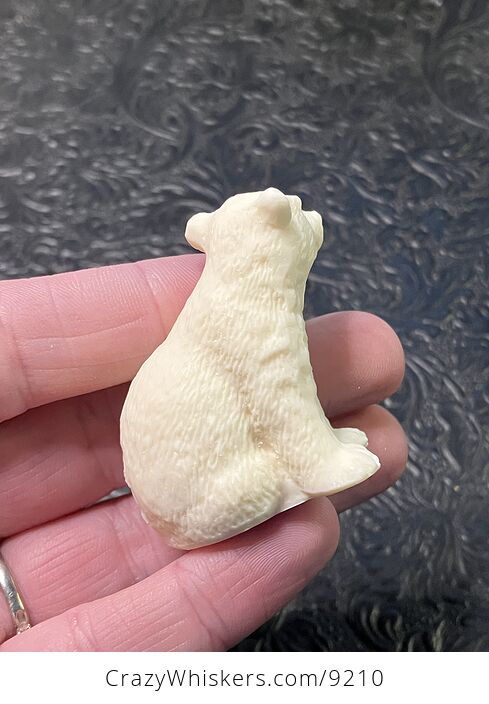Hand Carved Tagua Nut Sitting Polar Bear Cub Figurine - #oJWlCC7Kvbo-5