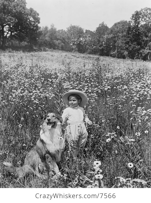 Historic Digital Photo of a Child and a Collie Dog in a Field - #1VFTGdiJL18-1
