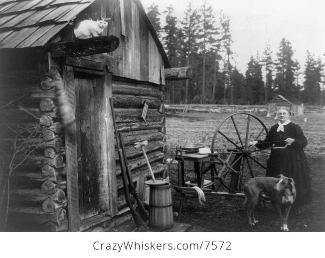 Historical Digital Photo of a Woman Using a Spinning Wheel Outside - #84XnwVgH2EY-1