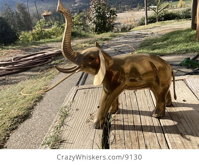 Large Brass Elephant Statue - #fNYzuICHV54-4