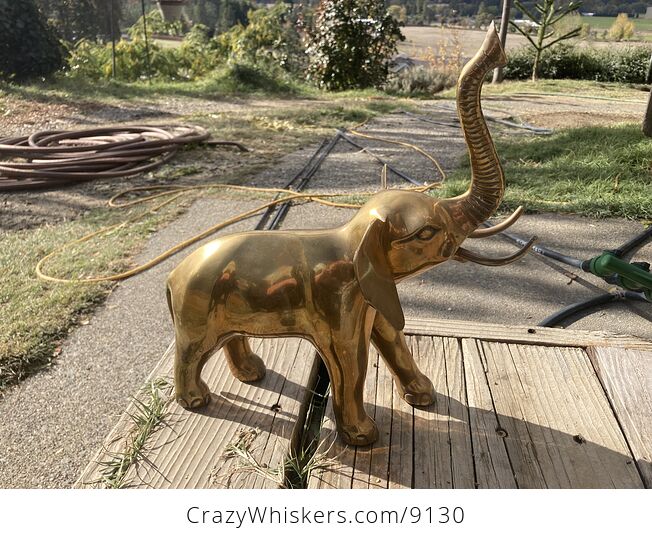 Large Brass Elephant Statue - #fNYzuICHV54-2